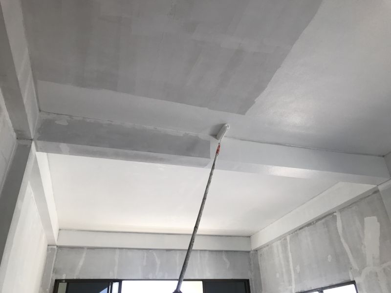 Attic Painting in Kansas City, KS