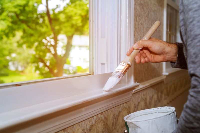 Cladding Painting in Longmont, CO